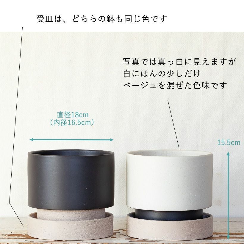 おしゃれ植木鉢：ツートンカラーのデザイン陶器鉢（6号）