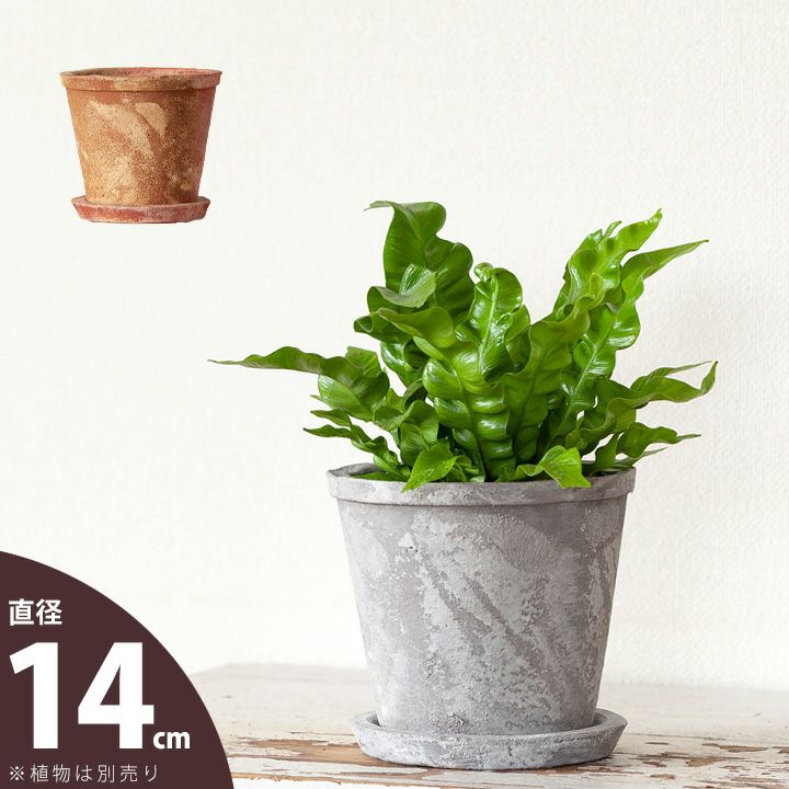 テラコッタ風の鉢｜アンティークで使い古したようなお洒落陶器鉢