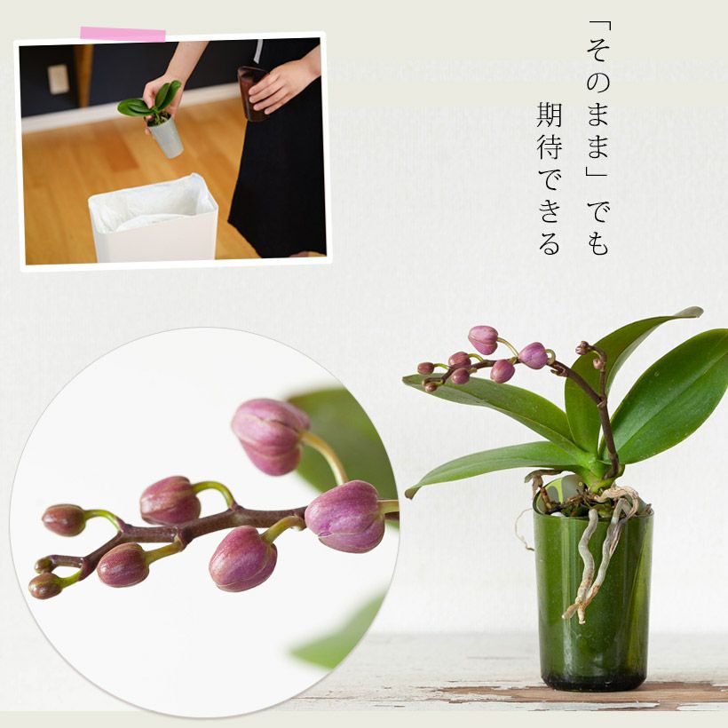 000000006553-07.jpg?size=l&w=