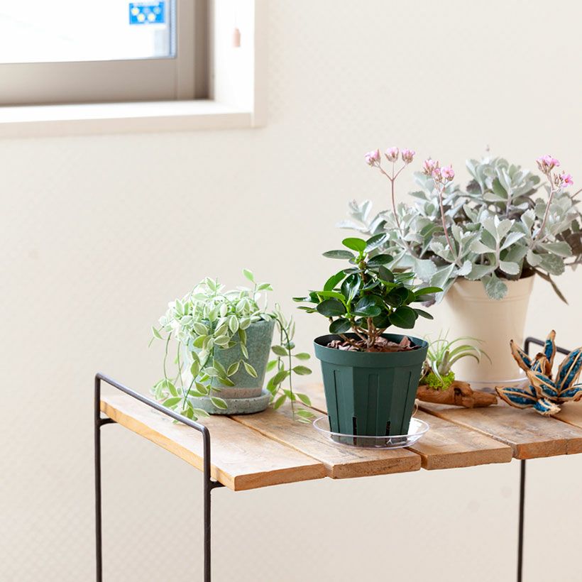 000000006748-04.jpg?size=l&w=