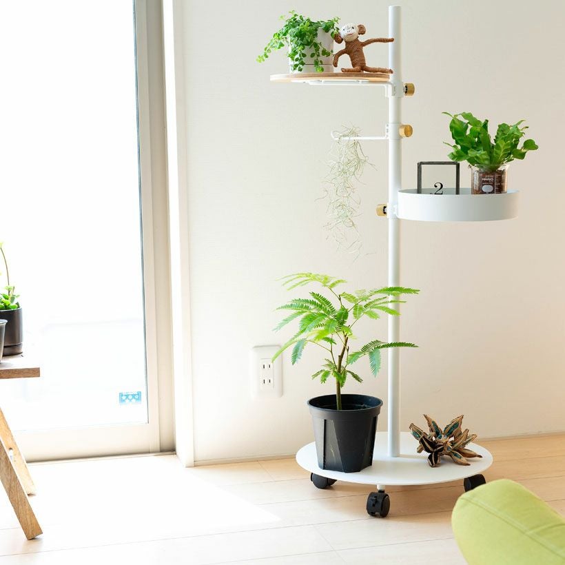 植え替え素材エバーフレッシュ5号POT、鉢植えに向くサイズ感