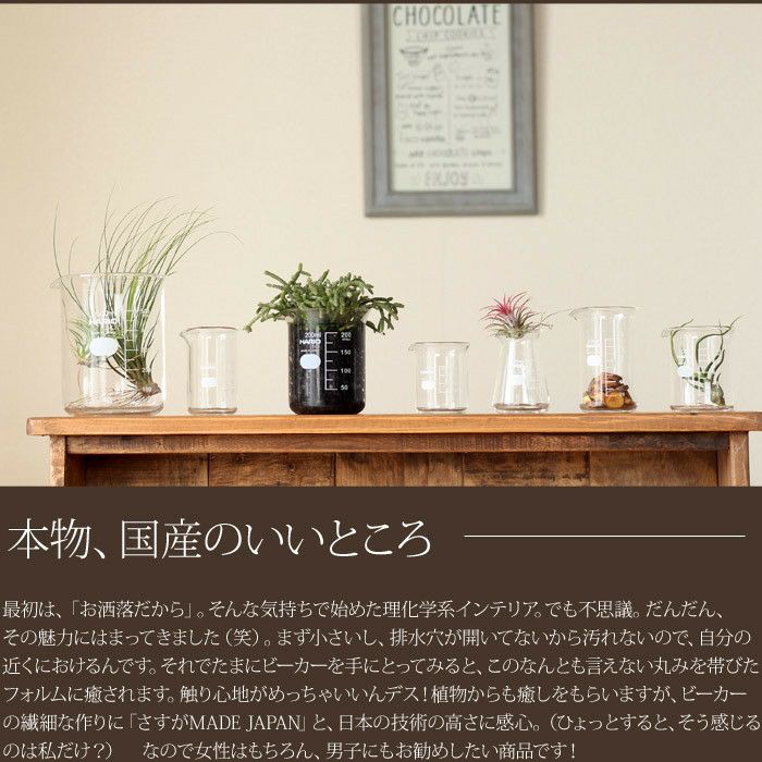 置くだけで可愛い！インテリアとしても、鉢としても遊んで見たくなる♪高品質！国産のやわらかいフォルムに癒しをもらう、ビーカー500ml（ガラス製：外形92mm×高さ121mm）※植物は別売りです。
