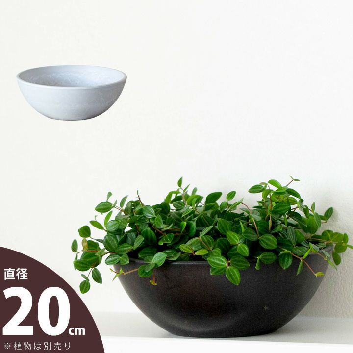 背が低いお皿の様な樹脂ポット（おしゃれな浅鉢）