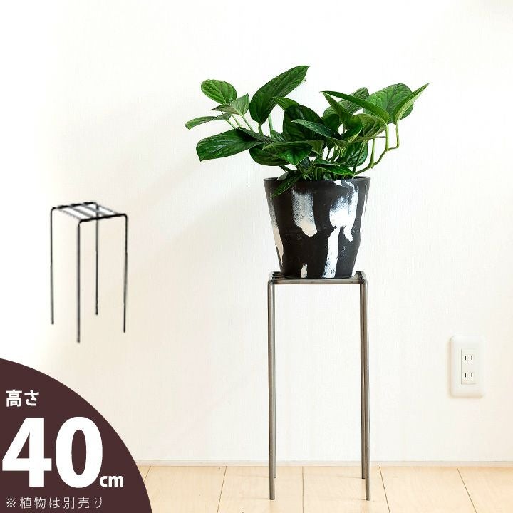 ディスプレイ棚｜植物をお洒落！シンプルなアイアンスタンド