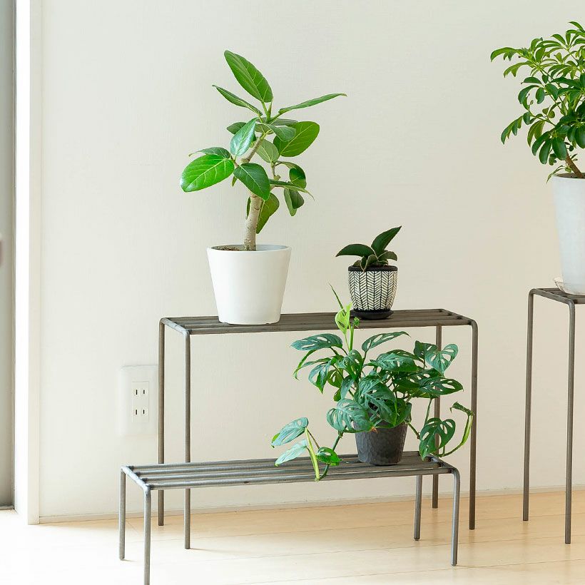 植物５点、飾りベンチ、金属製の水差し、陶器製の置物 植物5点、飾りベンチ、金属製の水差し、陶器製の置物の通販