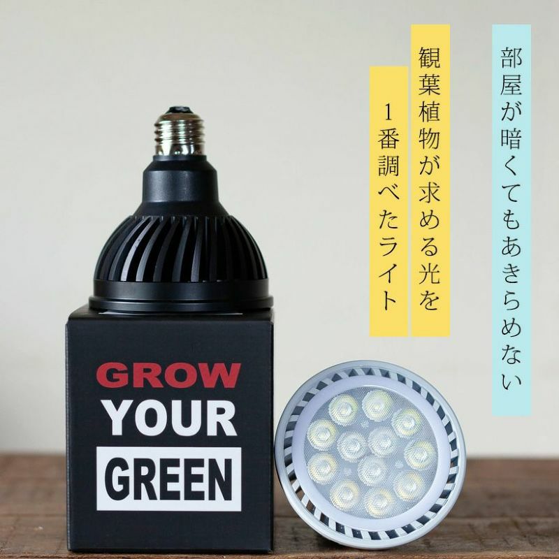 000000007161-01.jpg?size=l&w=