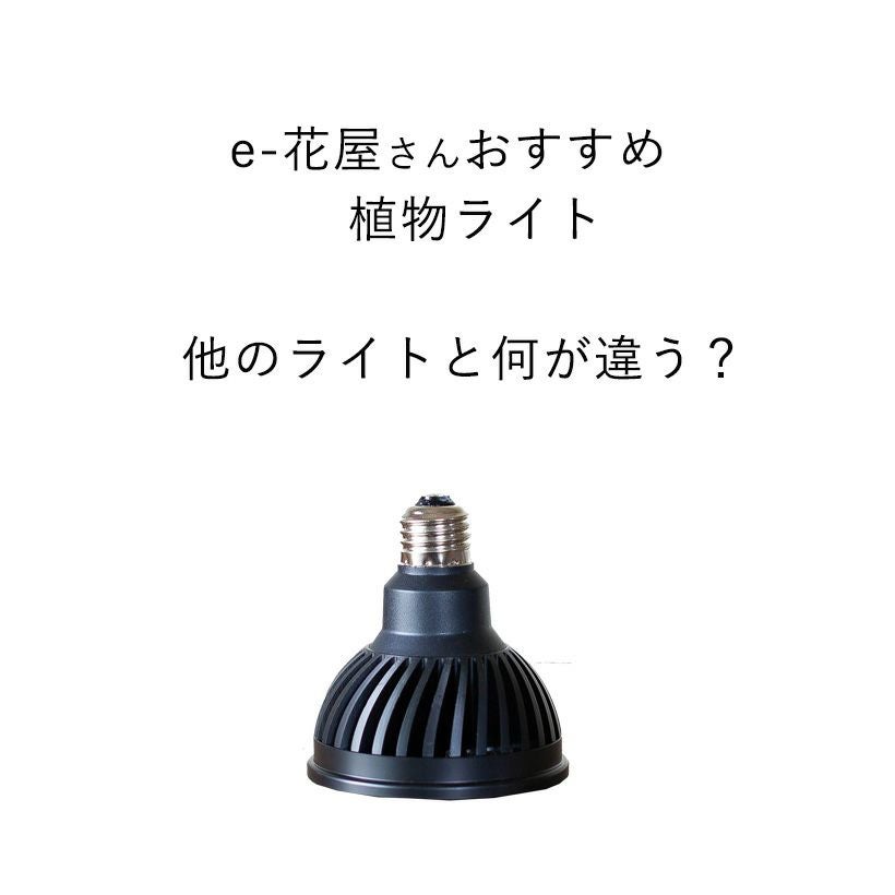 植物育成ライト｜プランツネクスライトが観葉植物おすすめLED