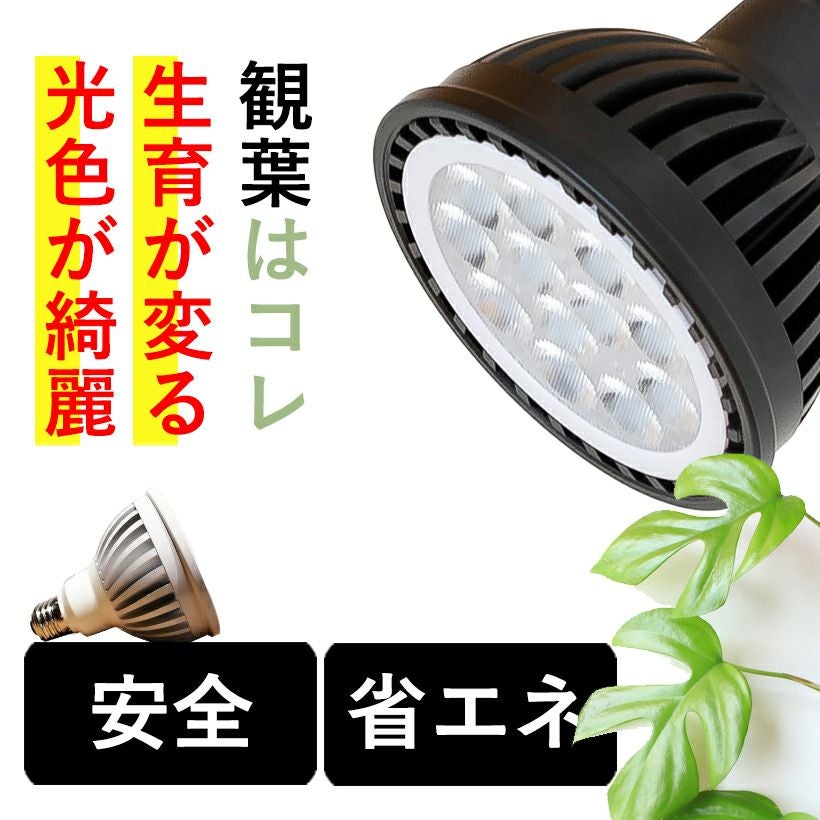 植物育成ライト｜プランツネクスライトが観葉植物おすすめLED