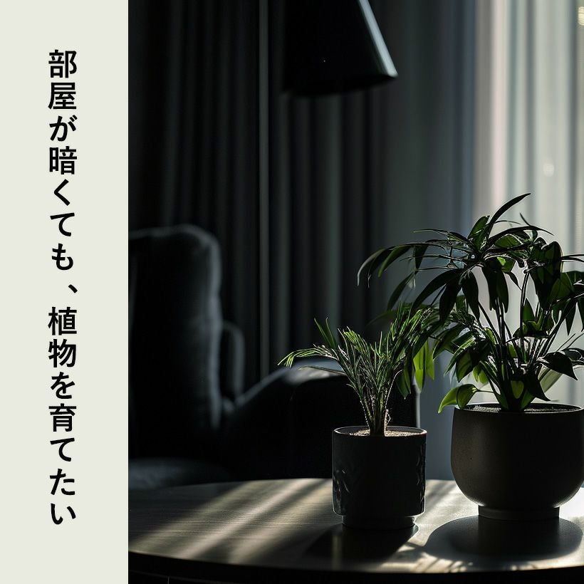 000000007161-16.jpg?size=l&w=