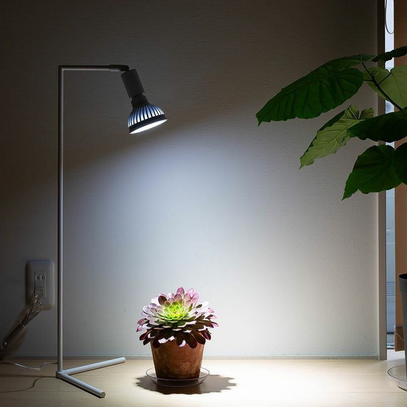 植物育成ライト｜プランツネクスライトが観葉植物おすすめLED