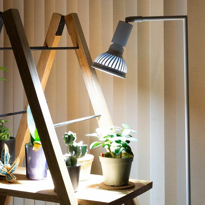 000000007161-20.jpg?size=l&w=