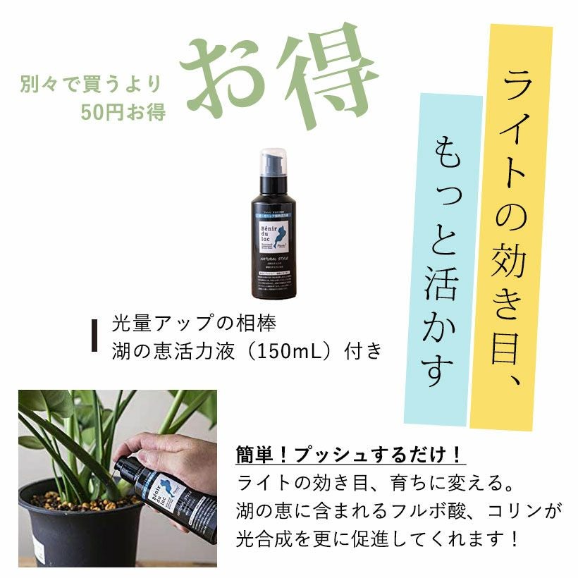 植物育成ライト｜プランツネクスライトが観葉植物おすすめLED