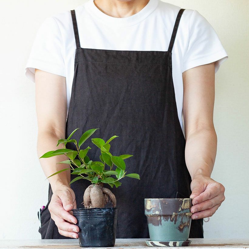 000000007180-12.jpg?size=l&w=