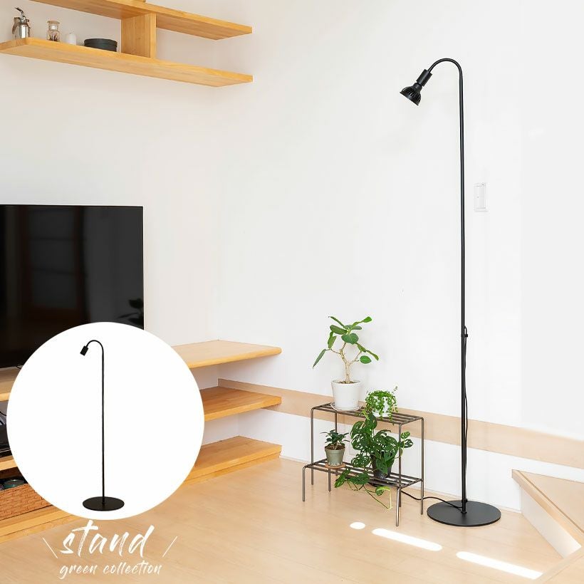 000000007247-01.jpg?size=l&w=