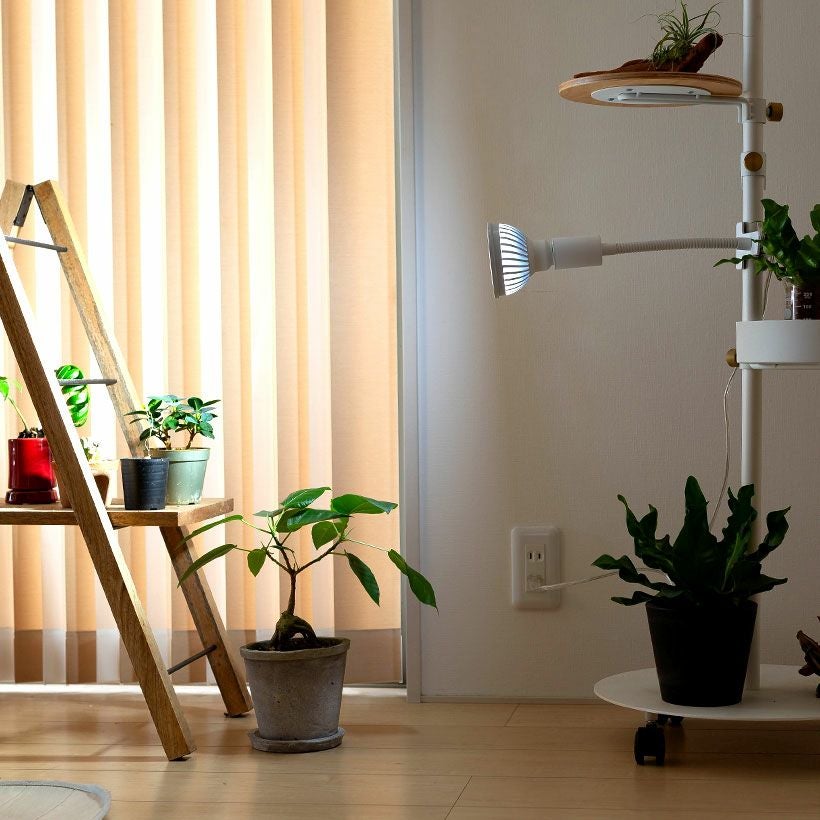 植物ライト：専用ソケット（デスククリップ）※ライト（電球）は商品に