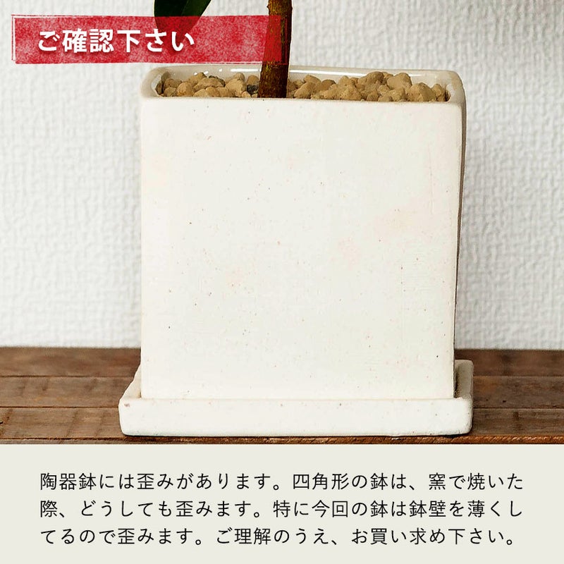 陶器鉢の説明