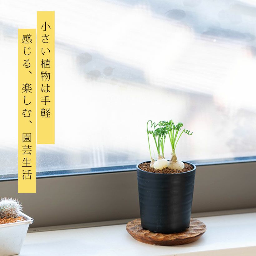 000000007562-02.jpg?size=l&w=