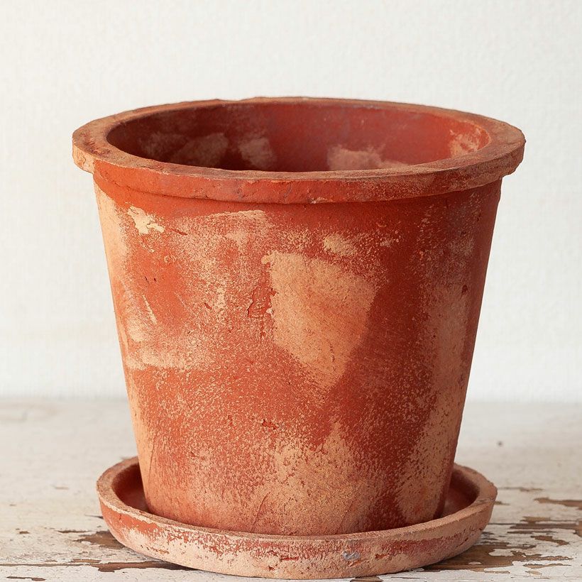 レトロ調の植木鉢｜灰・茶色、アンティークでお洒落5号~6号向け