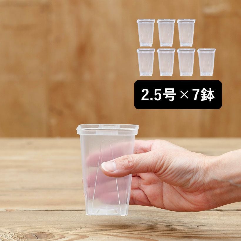 ネガミエルMINI（ミニ）挿し木用2.5号サイズ透明スリット鉢