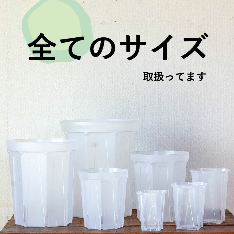 ネガミエルMINI（ミニ）挿し木用2.5号サイズ透明スリット鉢