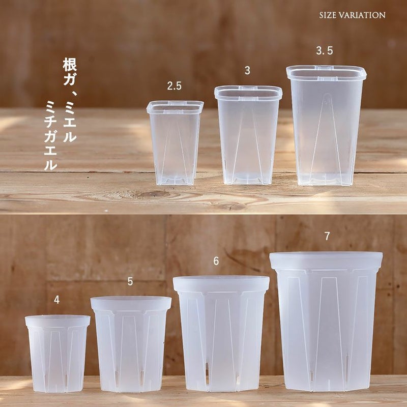 透明スリット鉢
