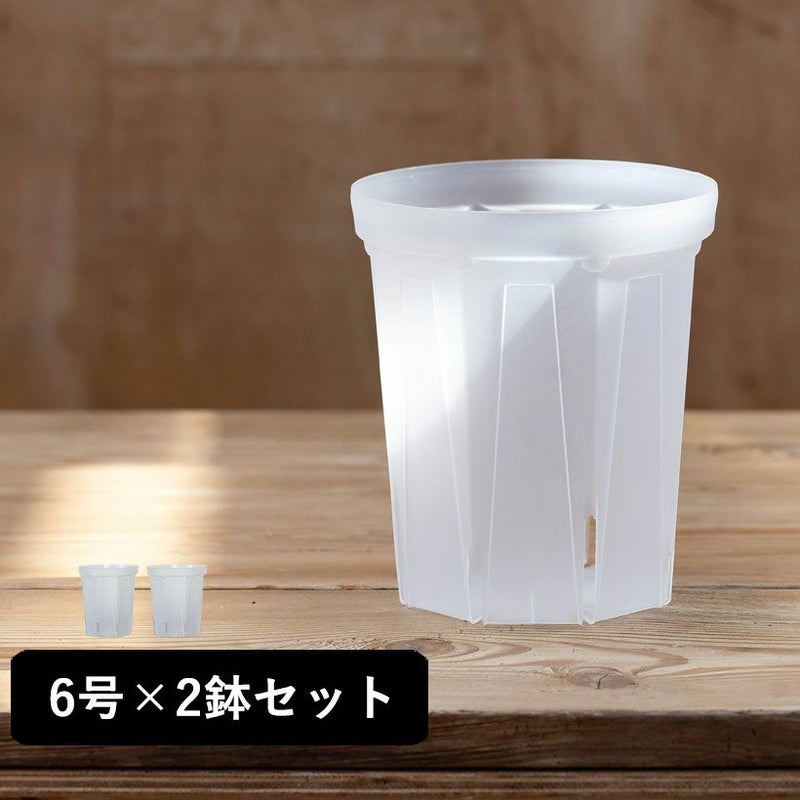 透明スリット鉢ロング大きめ6号サイズ｜観葉植物のネガミエル