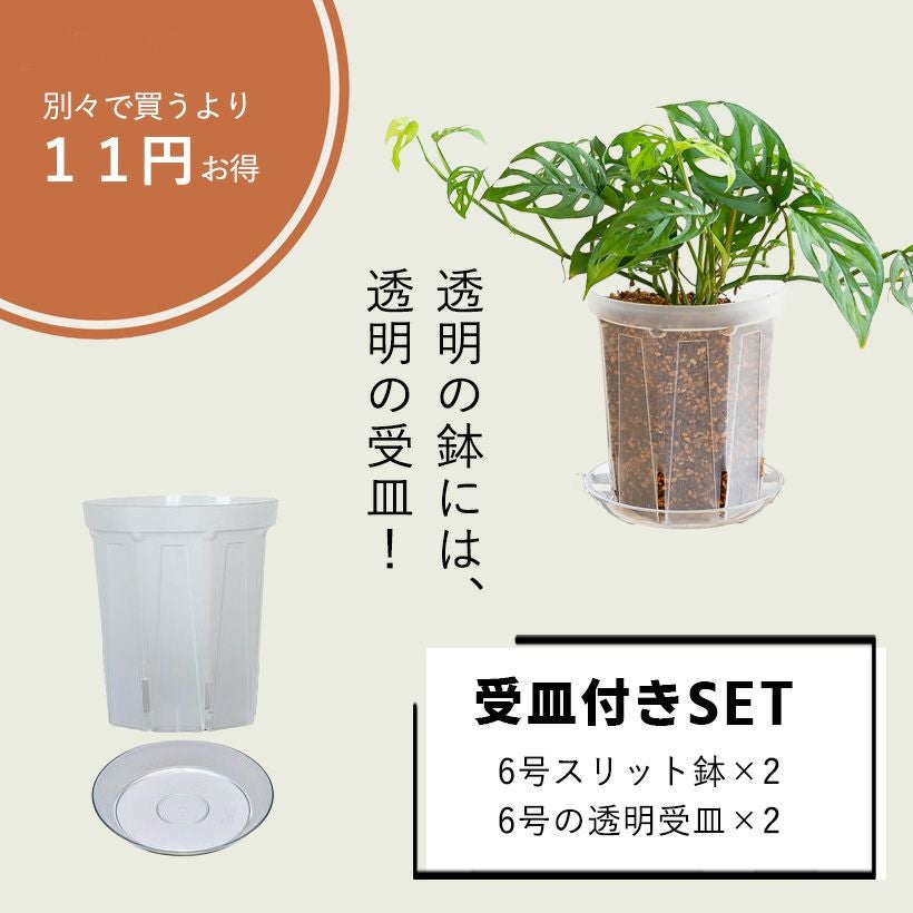 透明スリット鉢ロング大きめ6号サイズ｜観葉植物のネガミエル