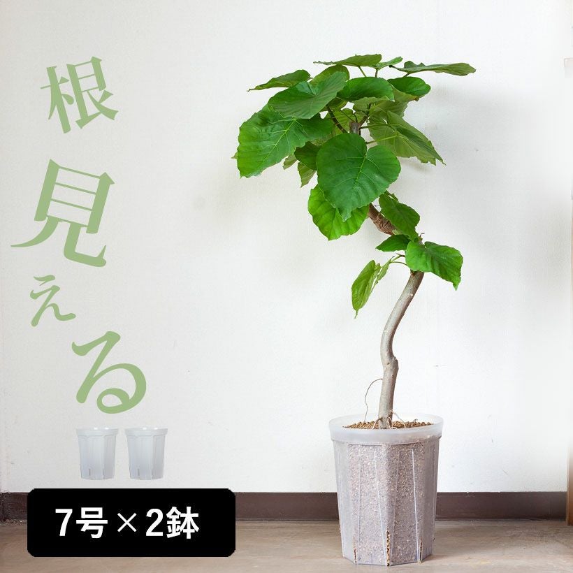 鉢カバー（8号鉢向け）と植木鉢（6号向け）｜おしゃれ陶器・FRP