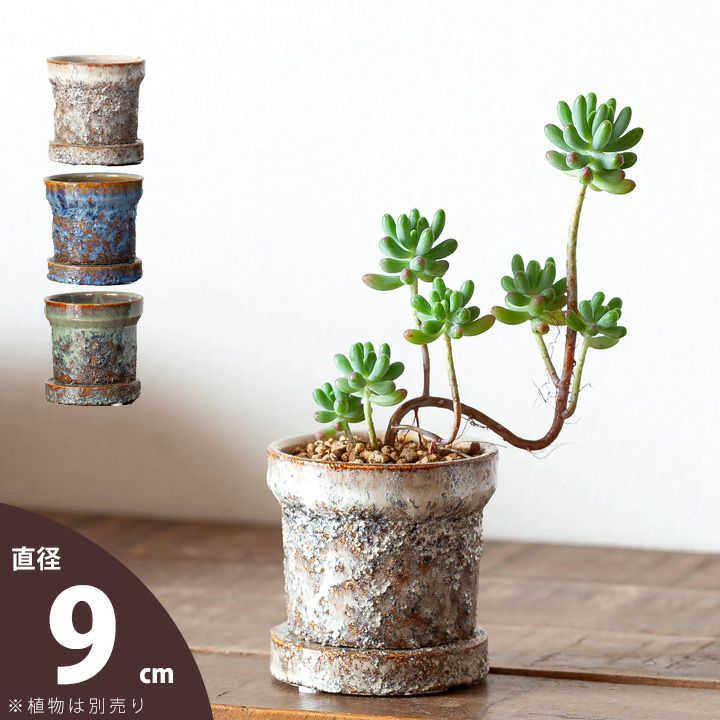 植木鉢２サイズ 号数ってなに？？植木鉢の大きさを詳しく知りたい！ | 植木鉢ナビ