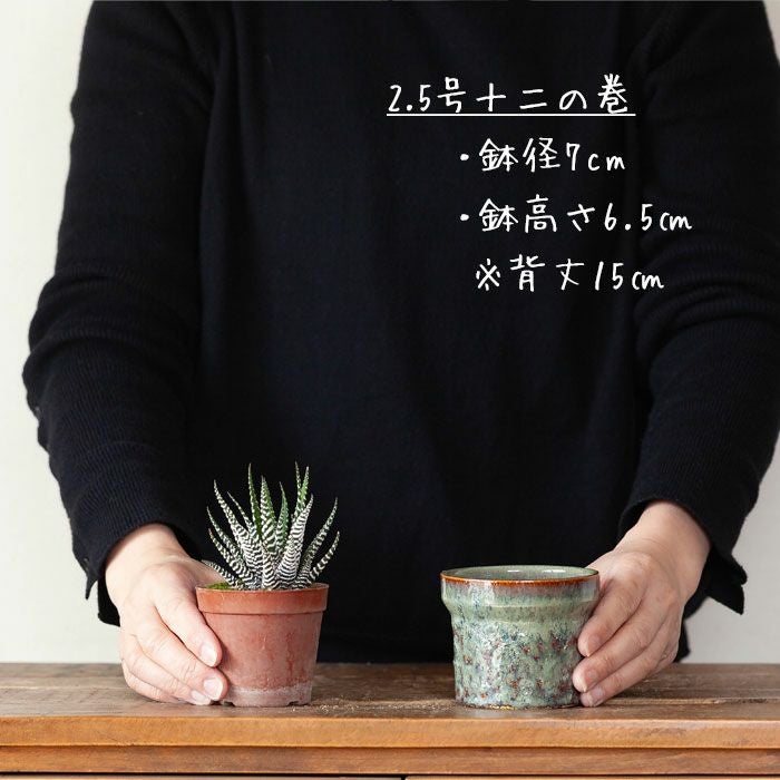 ザラザラした釉薬の陶器鉢｜和風、洋風どちらもOKデザイン