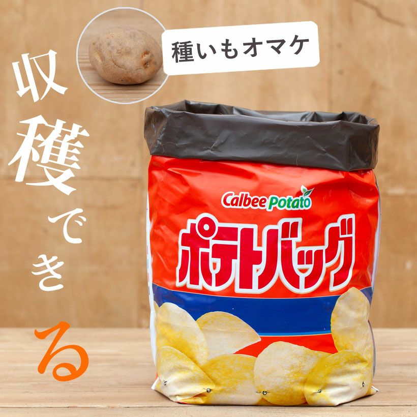 じゃがいもを鉢で」家庭菜園ポテトバッグ（カルビーコラボ品）