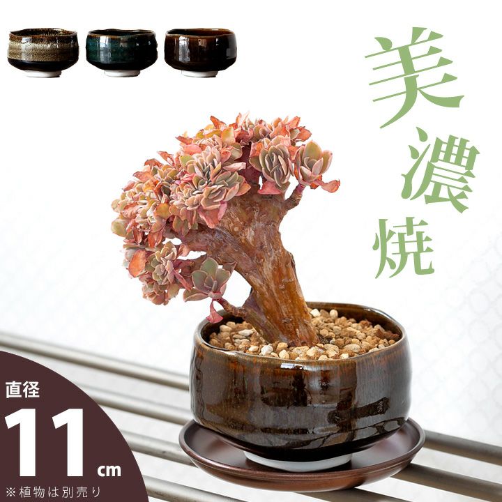 美濃焼の植木鉢｜松、桜が良く似合う抹茶碗ベースのミニ盆栽鉢