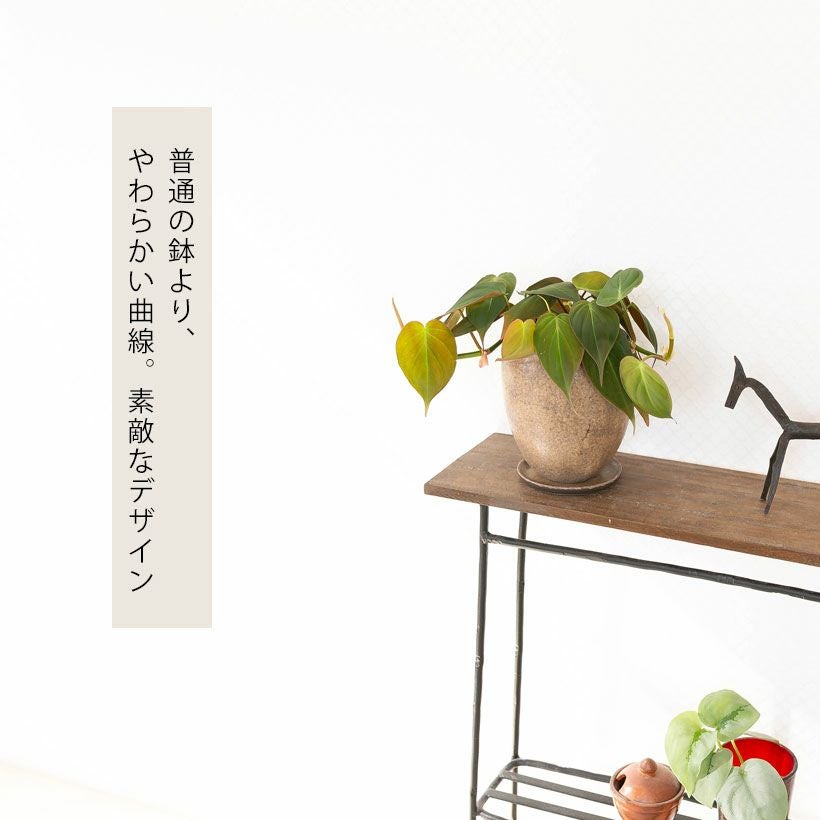 ブラウン縦長面長｜和モダン・セラミック植木鉢