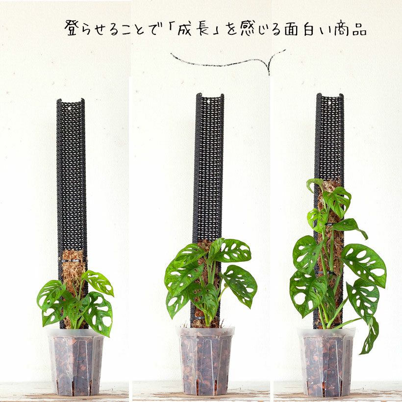 000000008078-07.jpg?size=l&w=