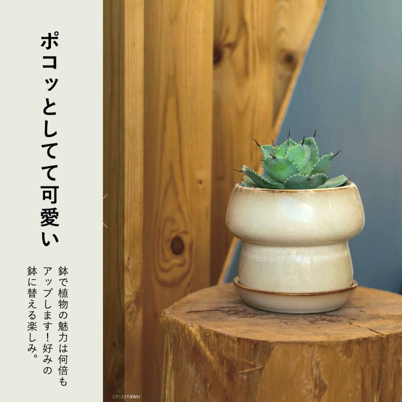 マッシュルームの様な植木鉢｜形や色が個性的で可愛い鉢