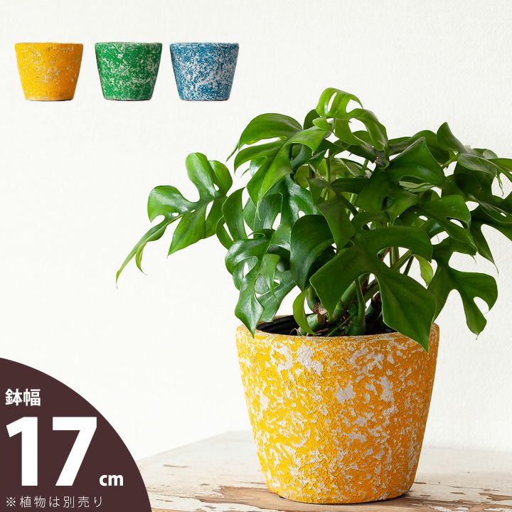 4号鉢～5号鉢サイズ｜植木鉢・鉢カバーでおしゃれな観葉植物に！