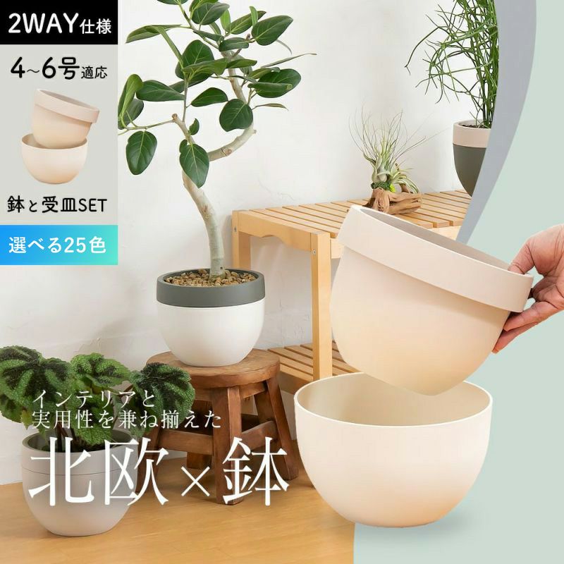 4号鉢～5号鉢サイズ｜植木鉢・鉢カバーでおしゃれな観葉植物に！