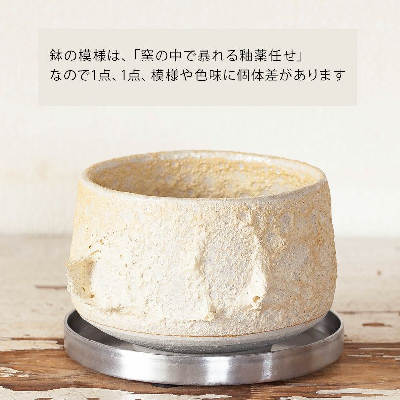 抹茶碗に溶岩の様な釉薬。和モダン陶器鉢（受皿アルミニウム）