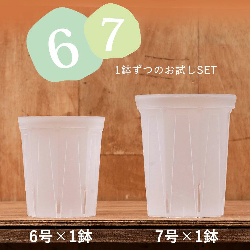 室内向けスリット鉢（クリア）大型サイズSET6号鉢・7号鉢
