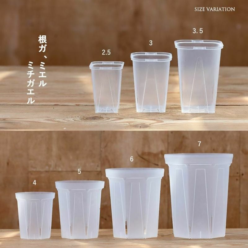 室内向けスリット鉢（クリア）大型サイズSET6号鉢・7号鉢