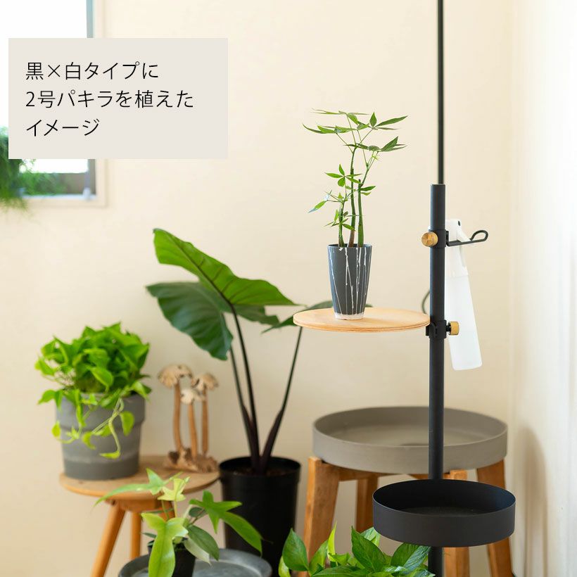 作家物「雨」をデザインした縦長の陶器鉢（北川和樹）e-花屋さん