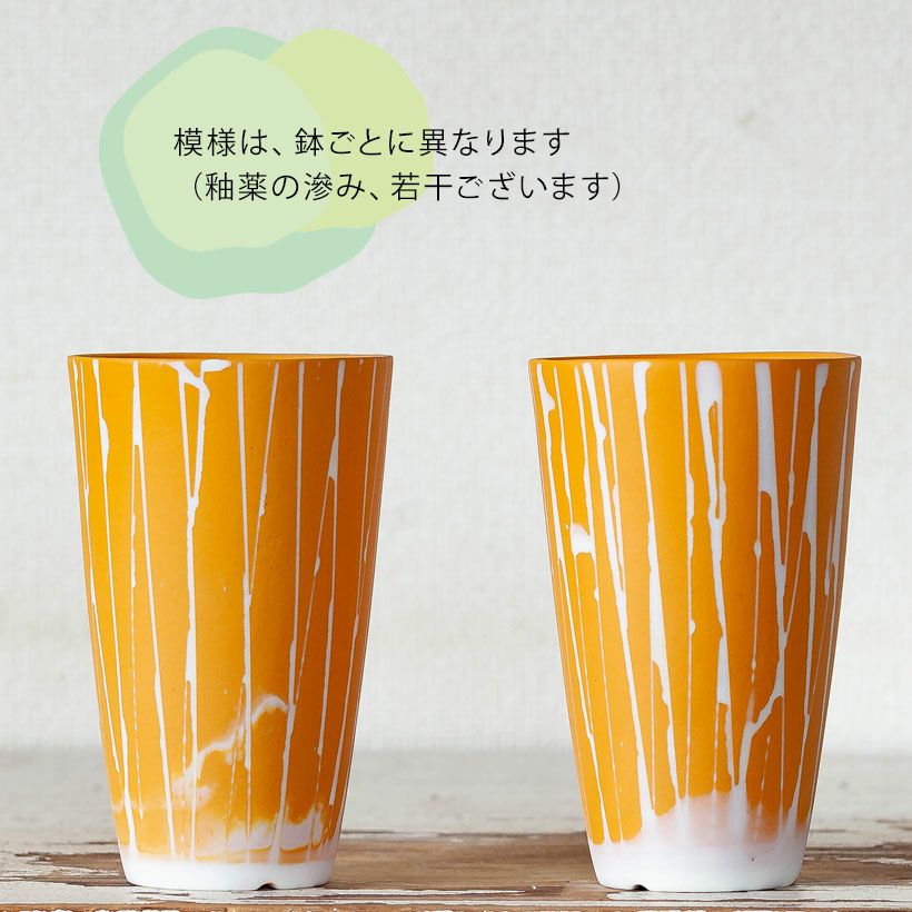黄色（イエロー）白のストライプ植木鉢。多肉葉植物の植え替えに
