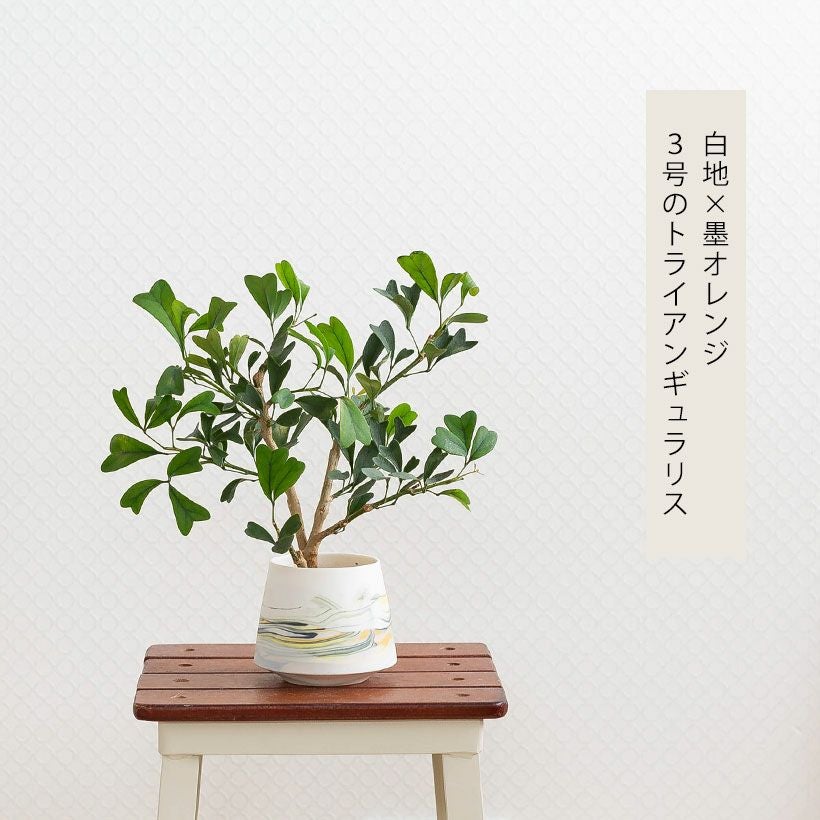 みどり色墨流し：作家物植木鉢｜人気の陶芸家北川和樹