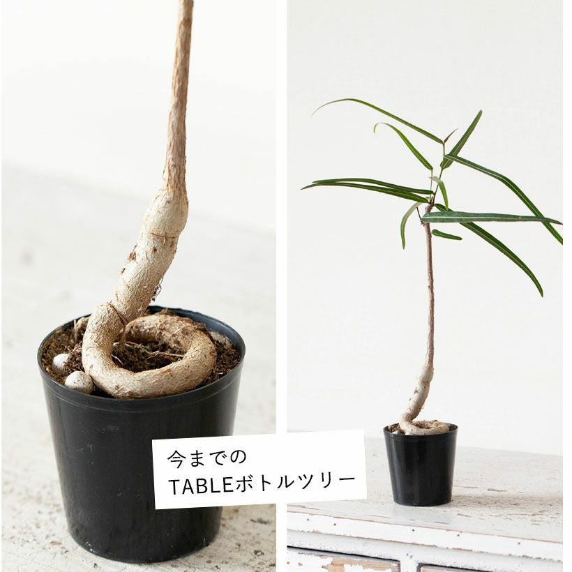 000000008366-05.jpg?size=l&w=