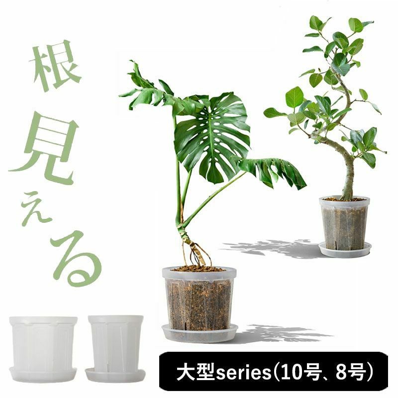 透明スリット鉢・大型サイズ（7号）観葉植物の植え替えに｜e-花屋