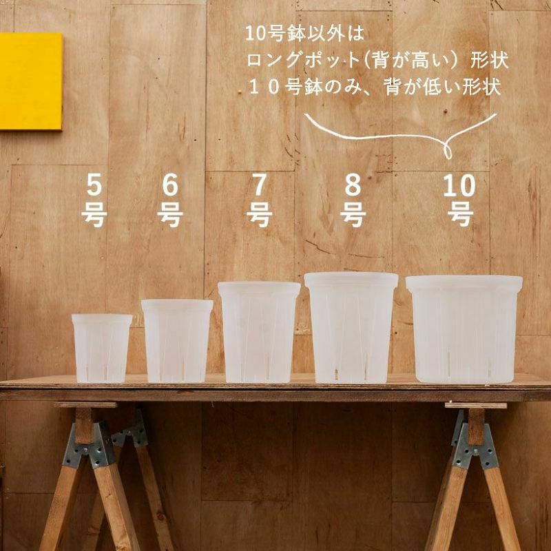 透明スリット鉢・大型サイズ（7号）観葉植物の植え替えに｜e-花屋