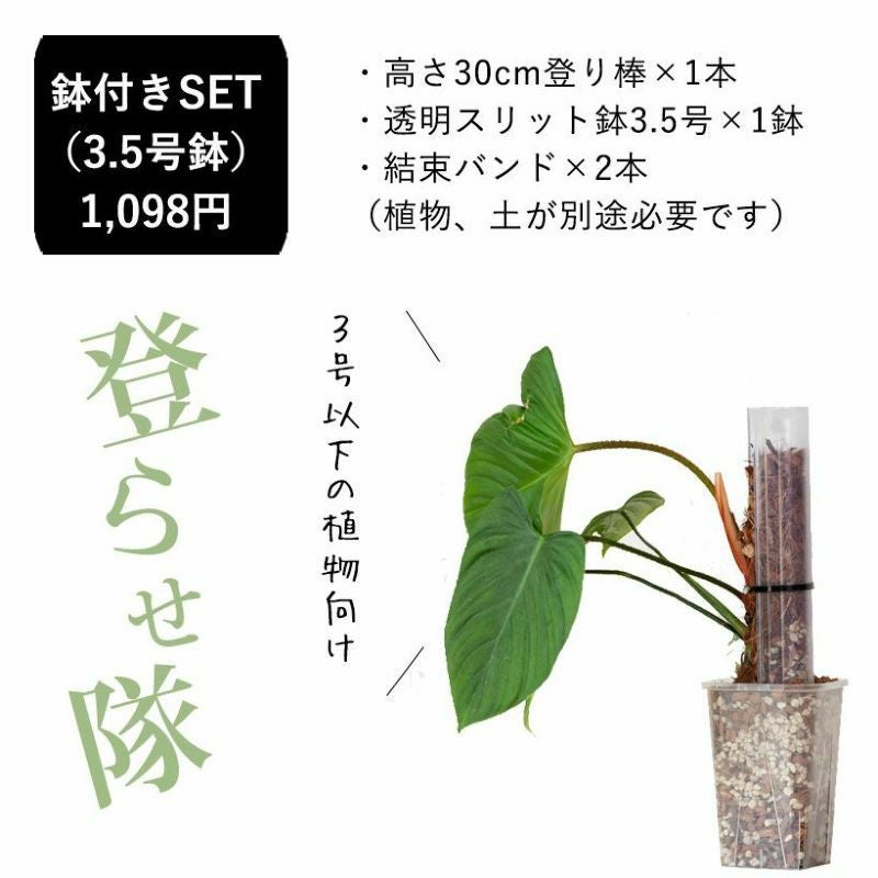 登り棒（花森家）透明ねこ型タイプ｜植物を登らせ葉を大きく！