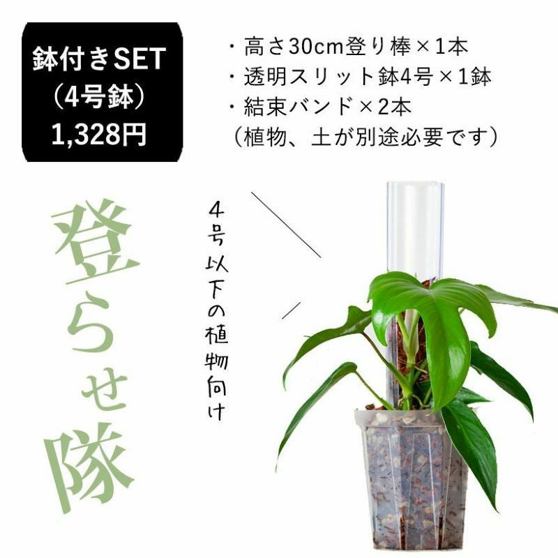 登り棒（花森家）透明ねこ型タイプ｜植物を登らせ葉を大きく！