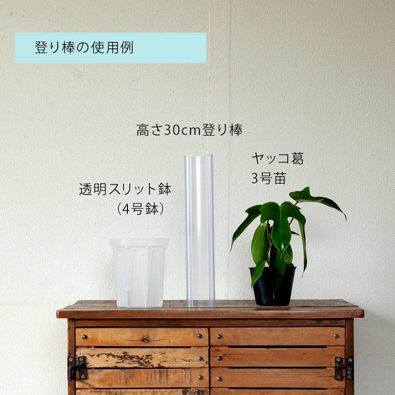 登り棒（花森家）透明ねこ型タイプ｜植物を登らせ葉を大きく！