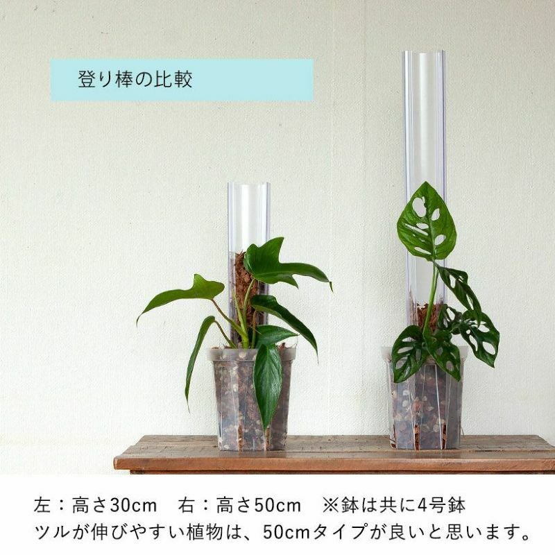 登り棒（花森家）透明ねこ型タイプ｜植物を登らせ葉を大きく！